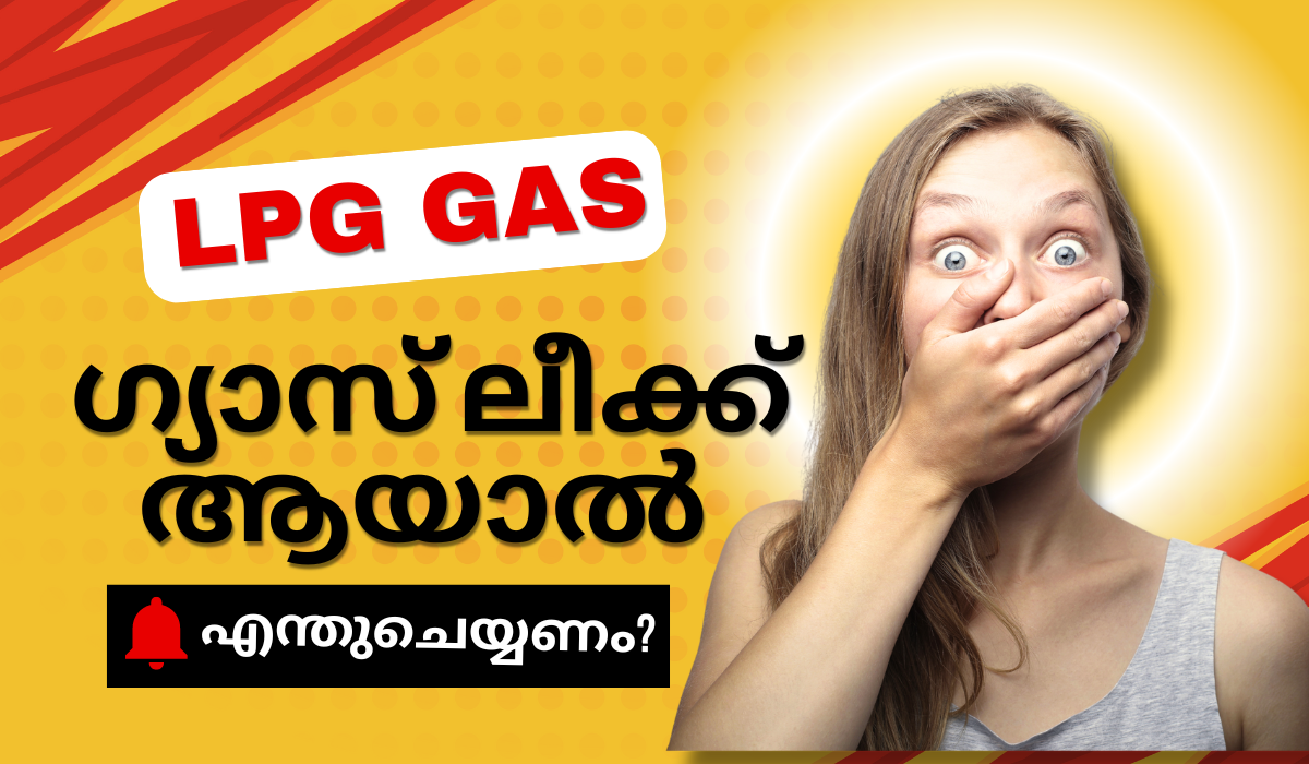 my lpg gas