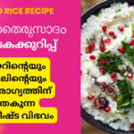 Curd Rice