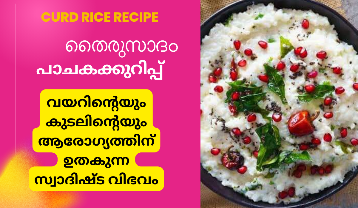 Curd Rice